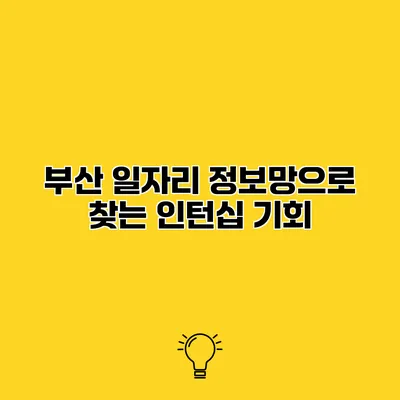 부산 일자리 정보망으로 찾는 인턴십 기회