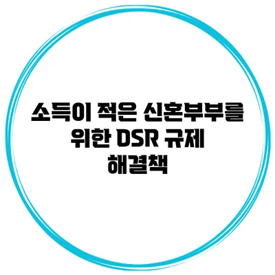 소득이 적은 신혼부부를 위한 DSR 규제 해결책
