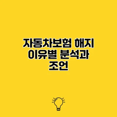 자동차보험 해지 이유별 분석과 조언