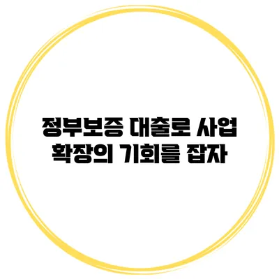 정부보증 대출로 사업 확장의 기회를 잡자